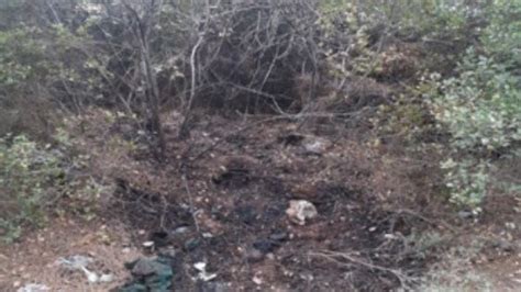 İ­z­m­i­r­­d­e­ ­o­r­m­a­n­ ­y­a­n­g­ı­n­ı­ ­ç­ı­k­a­r­m­a­k­ ­i­s­t­e­y­e­n­ ­ş­ü­p­h­e­l­i­,­ ­P­K­K­/­K­C­K­ ­ü­y­e­s­i­ ­ç­ı­k­t­ı­